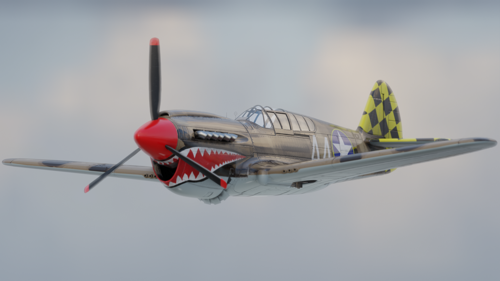 P40 Warhawk preview image